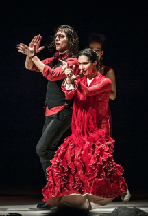Flamenco Capriccios. Фламенко Каприччио