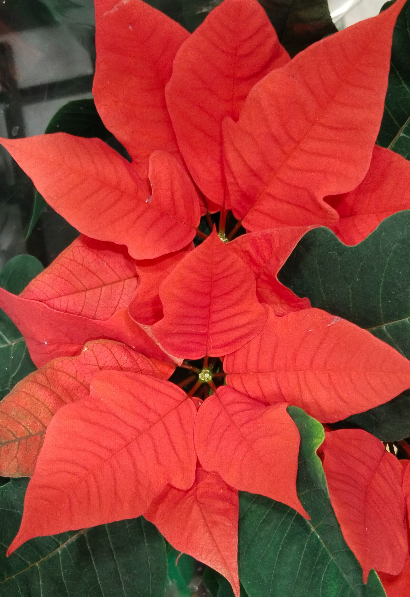 Времена года. Музыкальное путешествие в мерцании свечей