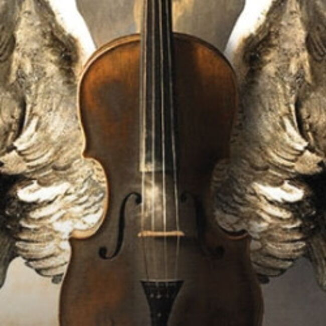 Magic cellos band Magic cellos band