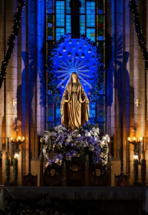 «Рождество в Люблино. Свет Вифлеема. Орган и Голос»