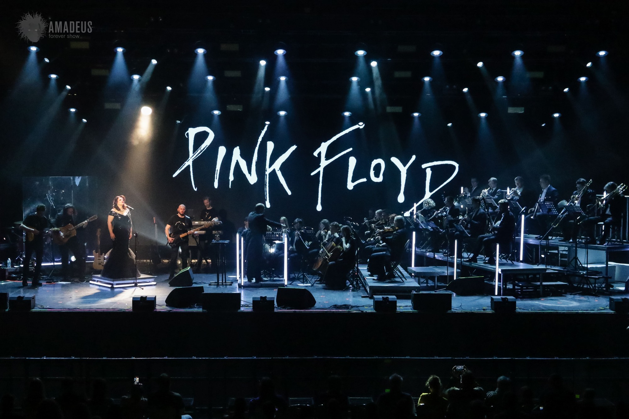 Pink Floyd Show