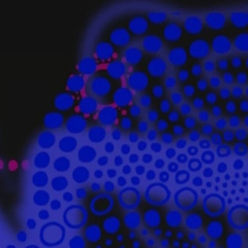 Вечер камерной музыки и сценической видеографии