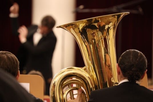 Концерт Ансамбля солистов Губернаторского симфонического. Чайковский