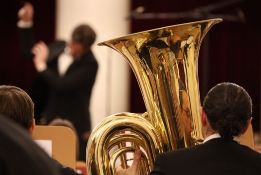 Концерт ансамбля солистов Губернаторского симфонического. Дворжак. Элгар. Чайковский