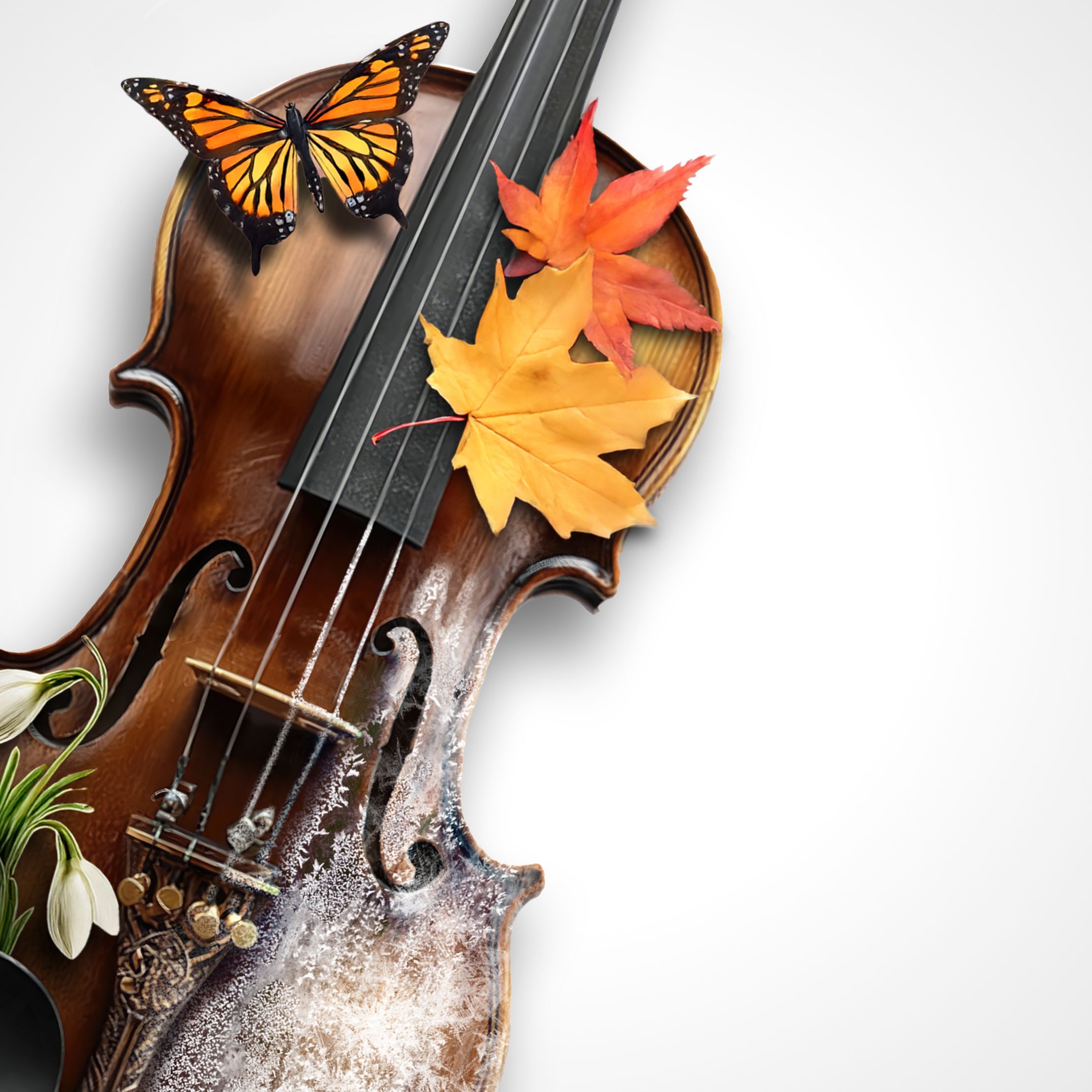 Времена года. Оркестр Империал