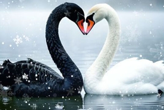 Праздничный П. И. Чайковский. Концерт №1