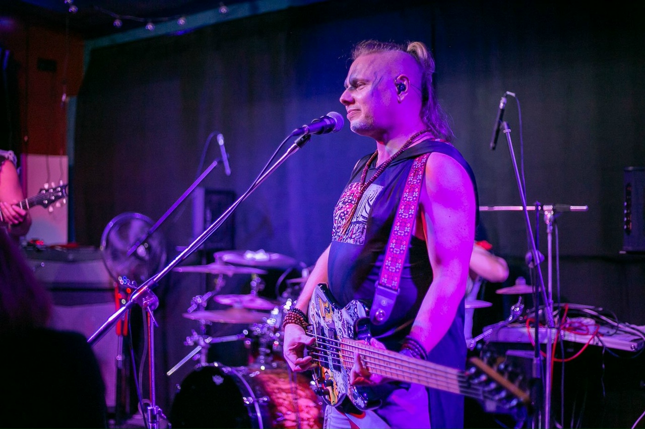 Скворцы Степанова