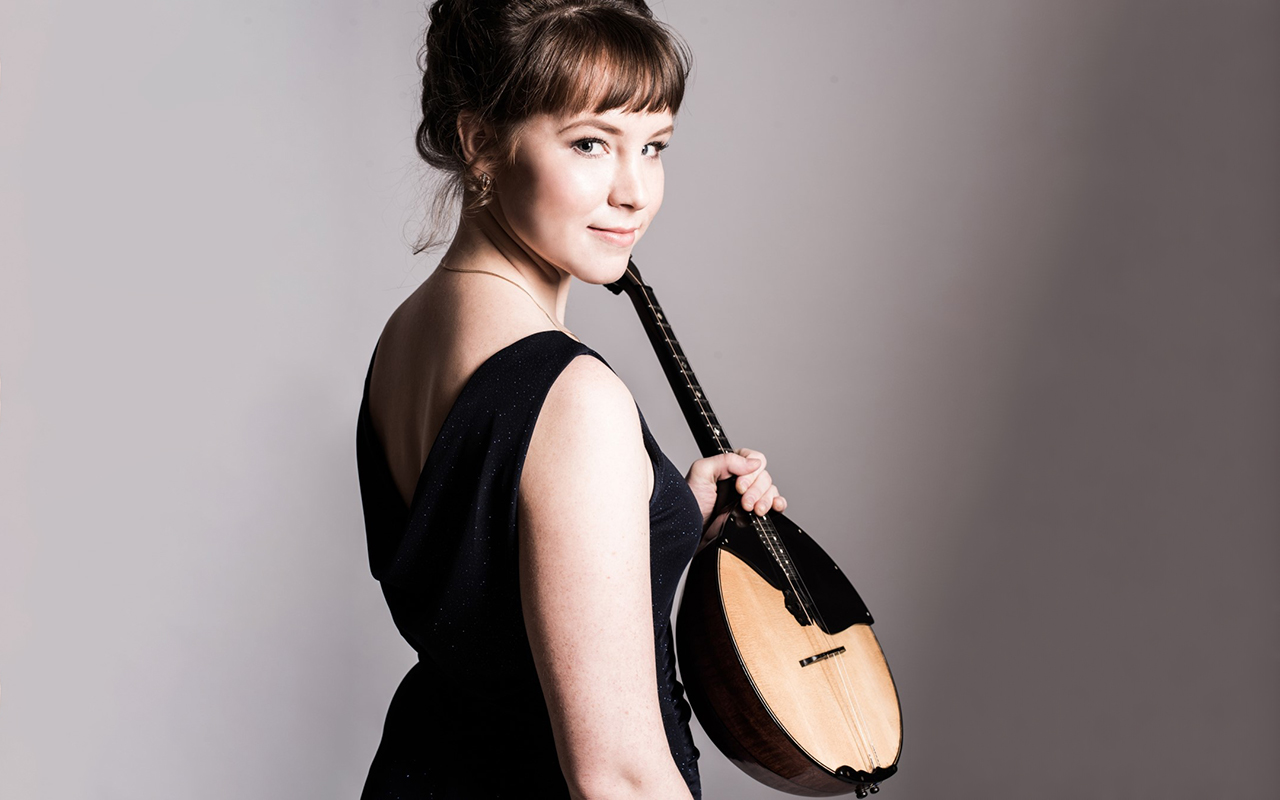 Кот – путешественник