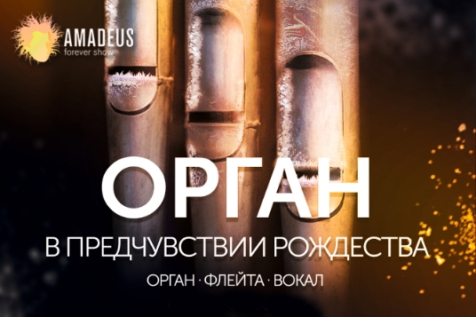 Орган. В предчувствии Рождества
