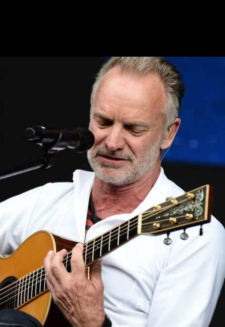 Simple Music Ensemble. Sting