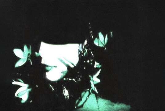 Мясафест. Группы «Культура курения» и «Ospa 1959