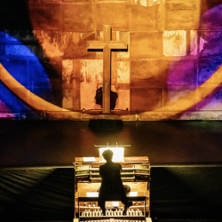 Ночной орган