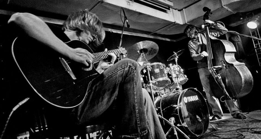 Волковтрио