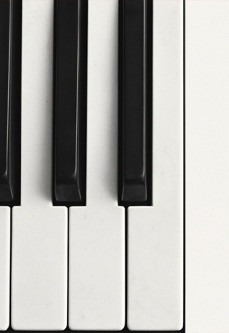 Simple Music Ensemble. Rammstein