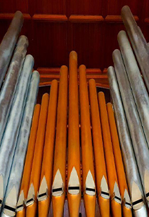 Старинный орган Англиканского собора. Бах