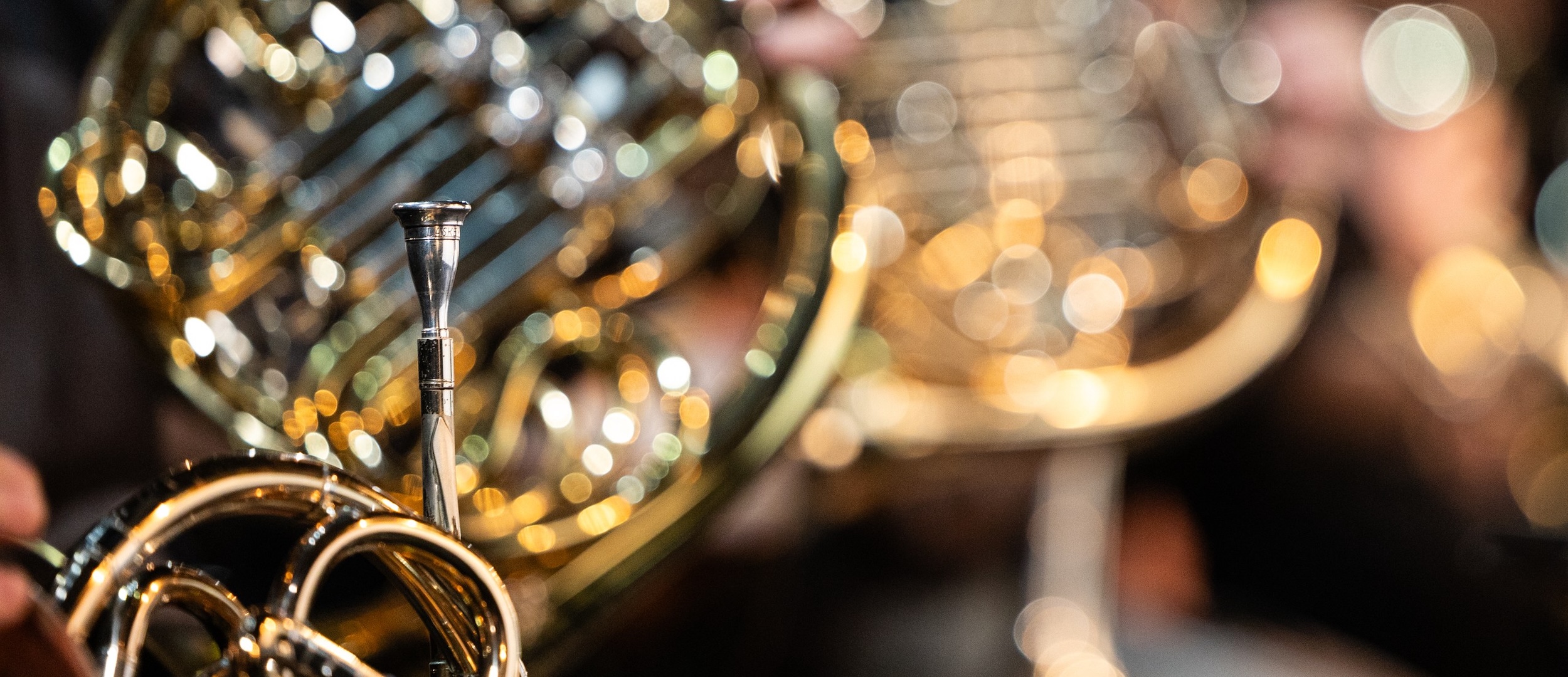 Неизвестный Римский-Корсаков