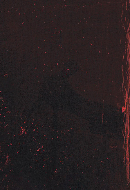 Собаки Табака