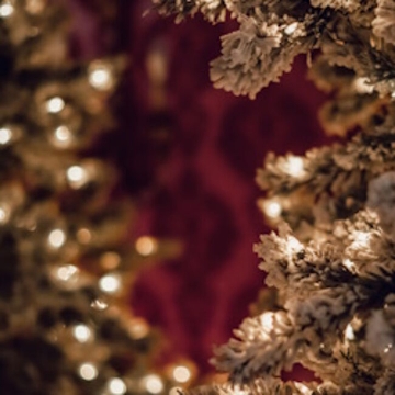 Рождество в Люблино: Орган при Свечах. Время Адвента