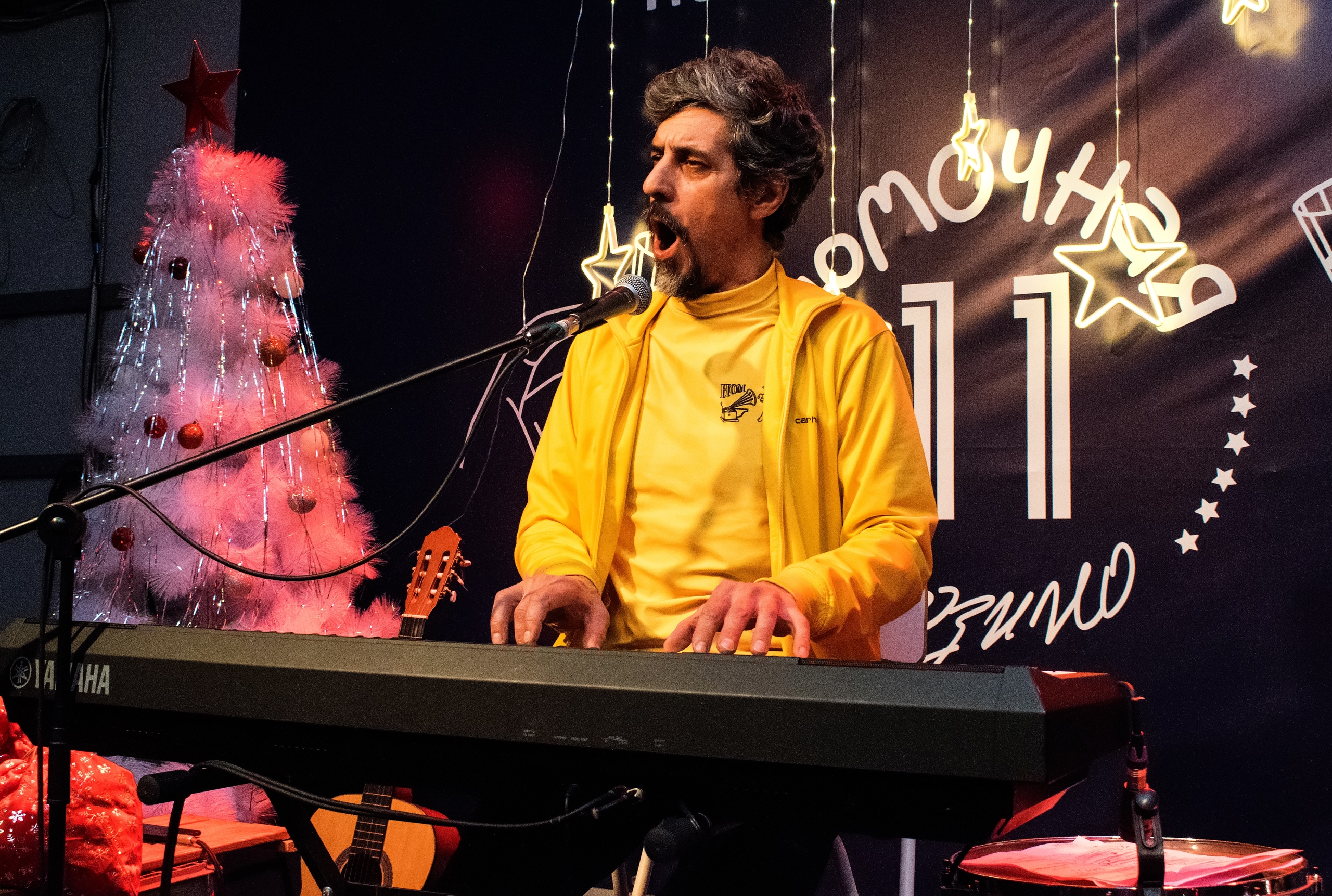 Александр Ливер на новогоднем теплоходе