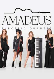 Amadeus Electric Quartet