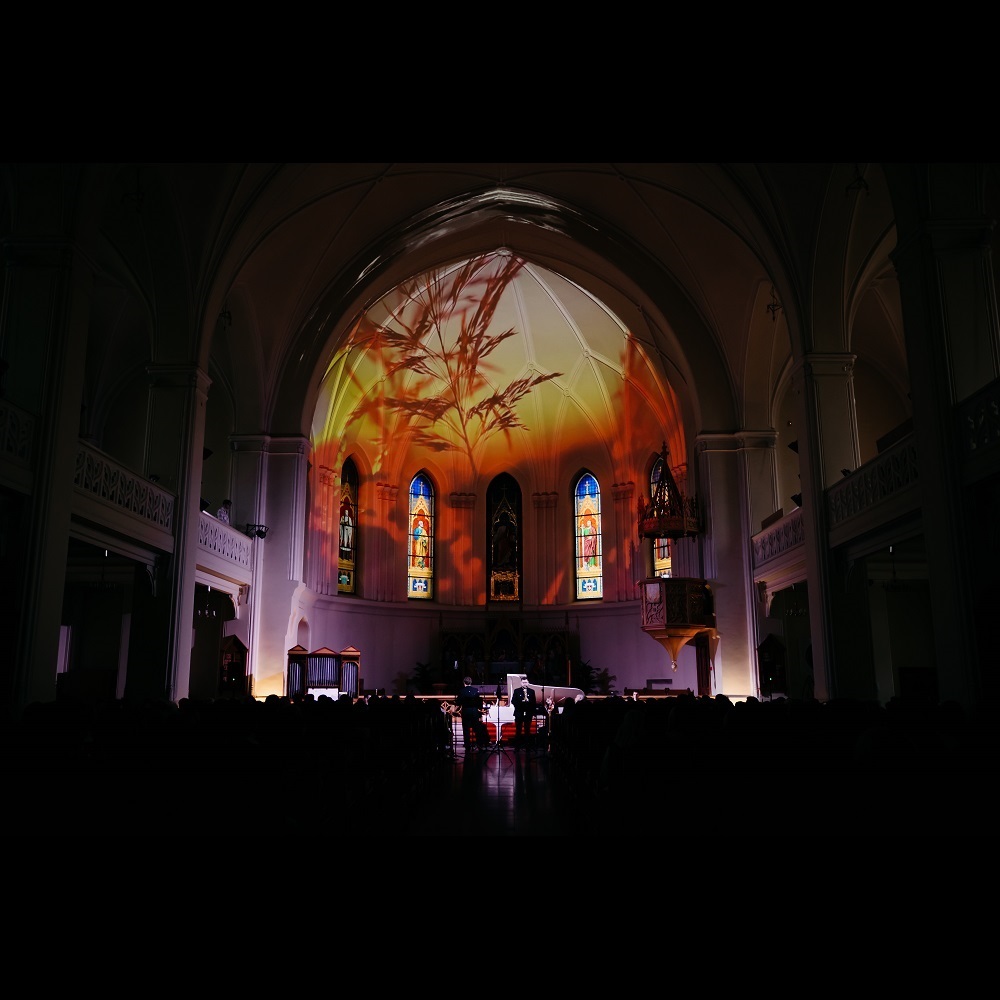 Симфонические хиты. Орган и Рок: Pink Floyd, Scorpions, The Beatles