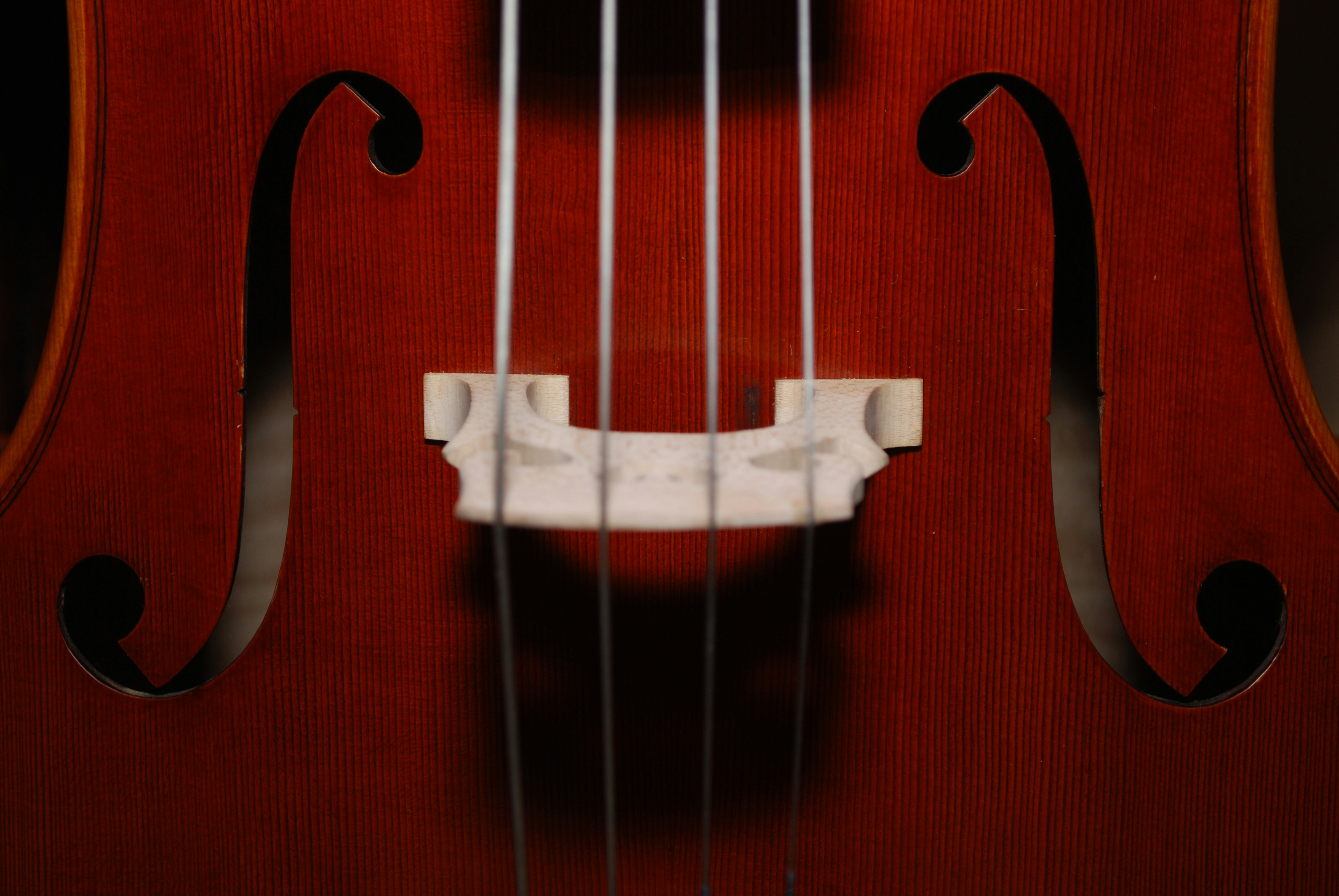 Ariom Orchestra
