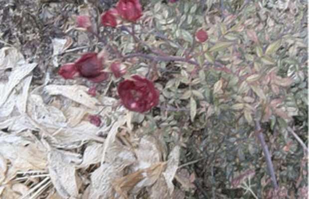 Октябрьский