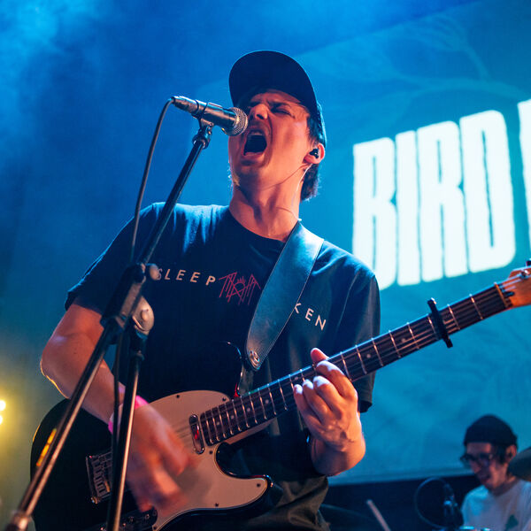 Bird Bone, НДвТБ