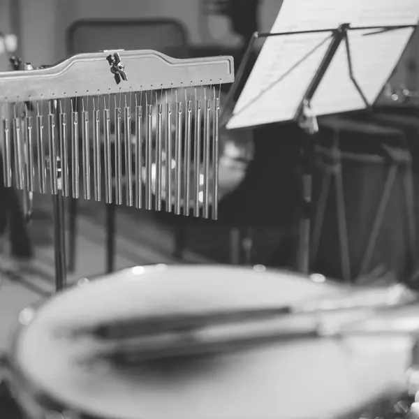 Simple Music Ensemble. Ханс Циммер