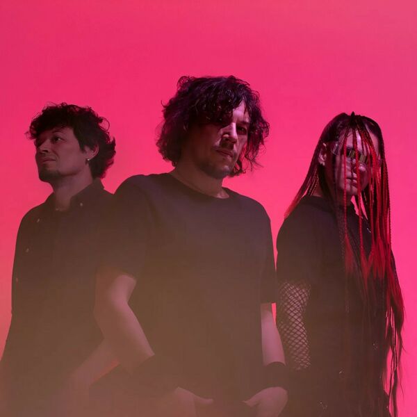 Адаптация пчёл