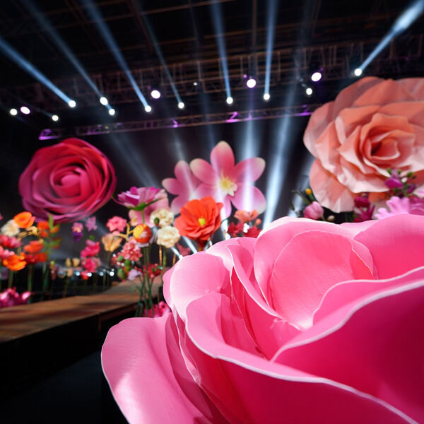 Музыка и цветы. Маленькая ночная серенада