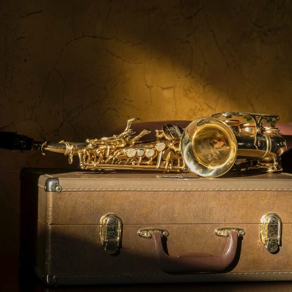 Елена Рыбалко с программой «Adele»