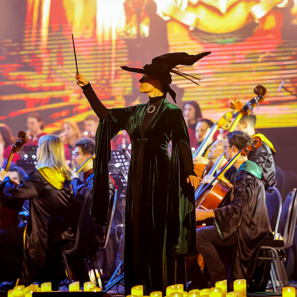 Новый год в Хогвартсе