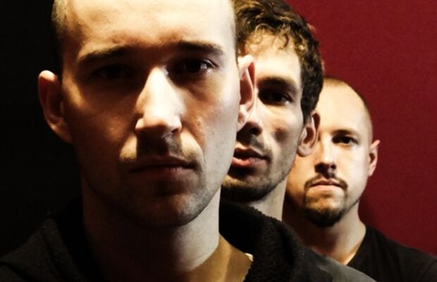 Группа AGLAOMORPHA