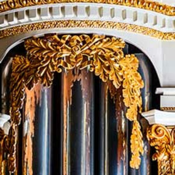 Евгения Лисицына. Орган