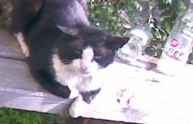 "Не живи уныло, Вилючинск..."