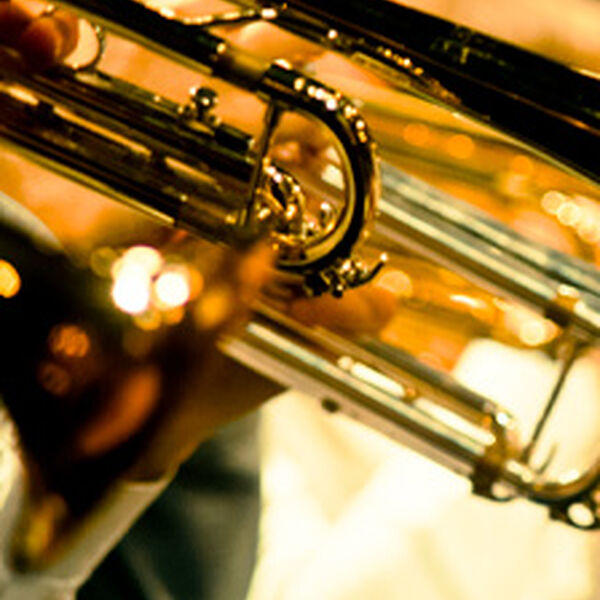 В гостях у духовых инструментов