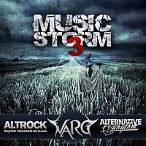 VA - MUSIC STORM vol.3 (2011)