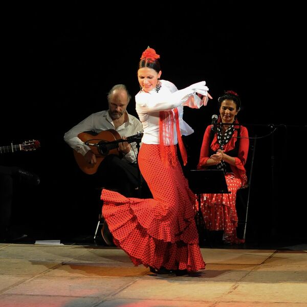 Фламенко. В ритме огня