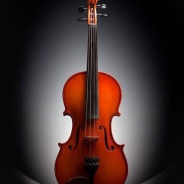 Шедевры Вивальди. Симфонический оркестр