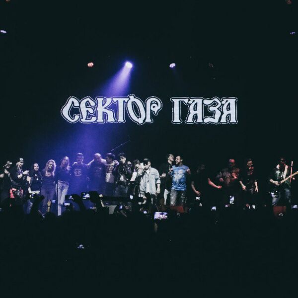 Сектор газа