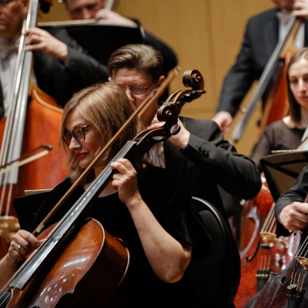 Бельгийская баллада