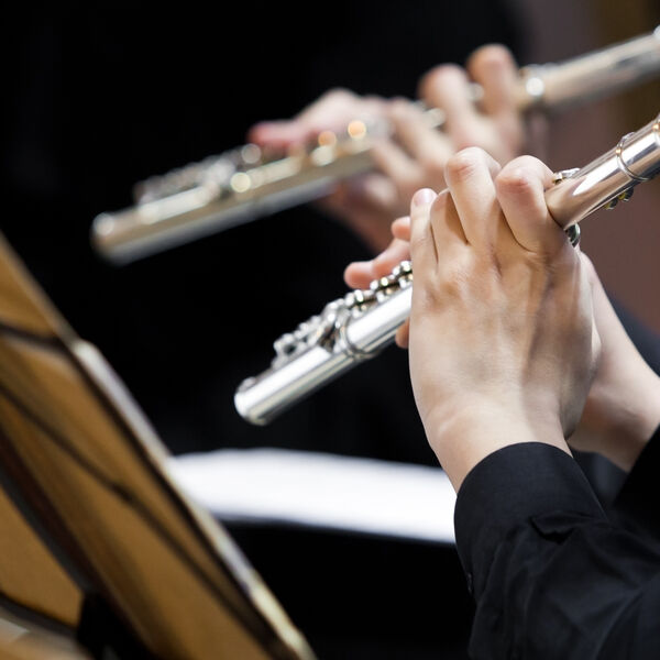 Пермские звёздочки