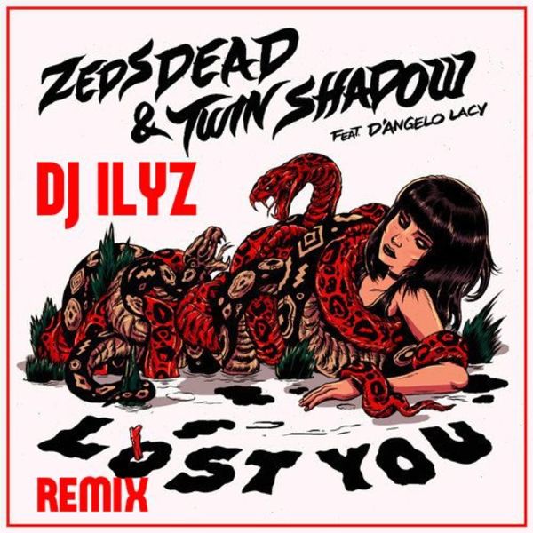 Zeds Dead - Lost You (feat. Twin Shadow & D'Angelo Lacy by DJ ILYZ remix)