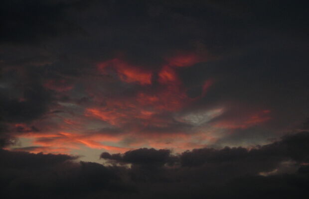 ГАЛЛЮЦИНОГЕН фото