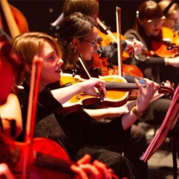 Гарри Поттер и король. Симфопанкшоу palladium orchestra