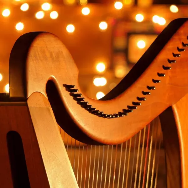 Дуэт арфы и скрипки при свечах