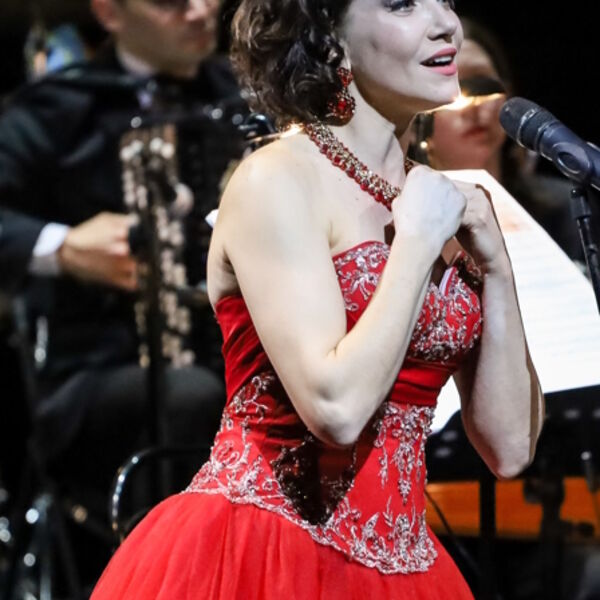 Новогодний сюрприз А.Кольцов И. Елисеев