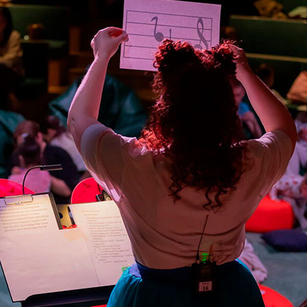 Бэби-концерт / Нәниләр өчен концерт. Концерт солистов оркестра