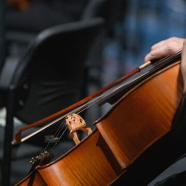 Концерт камерной музыки